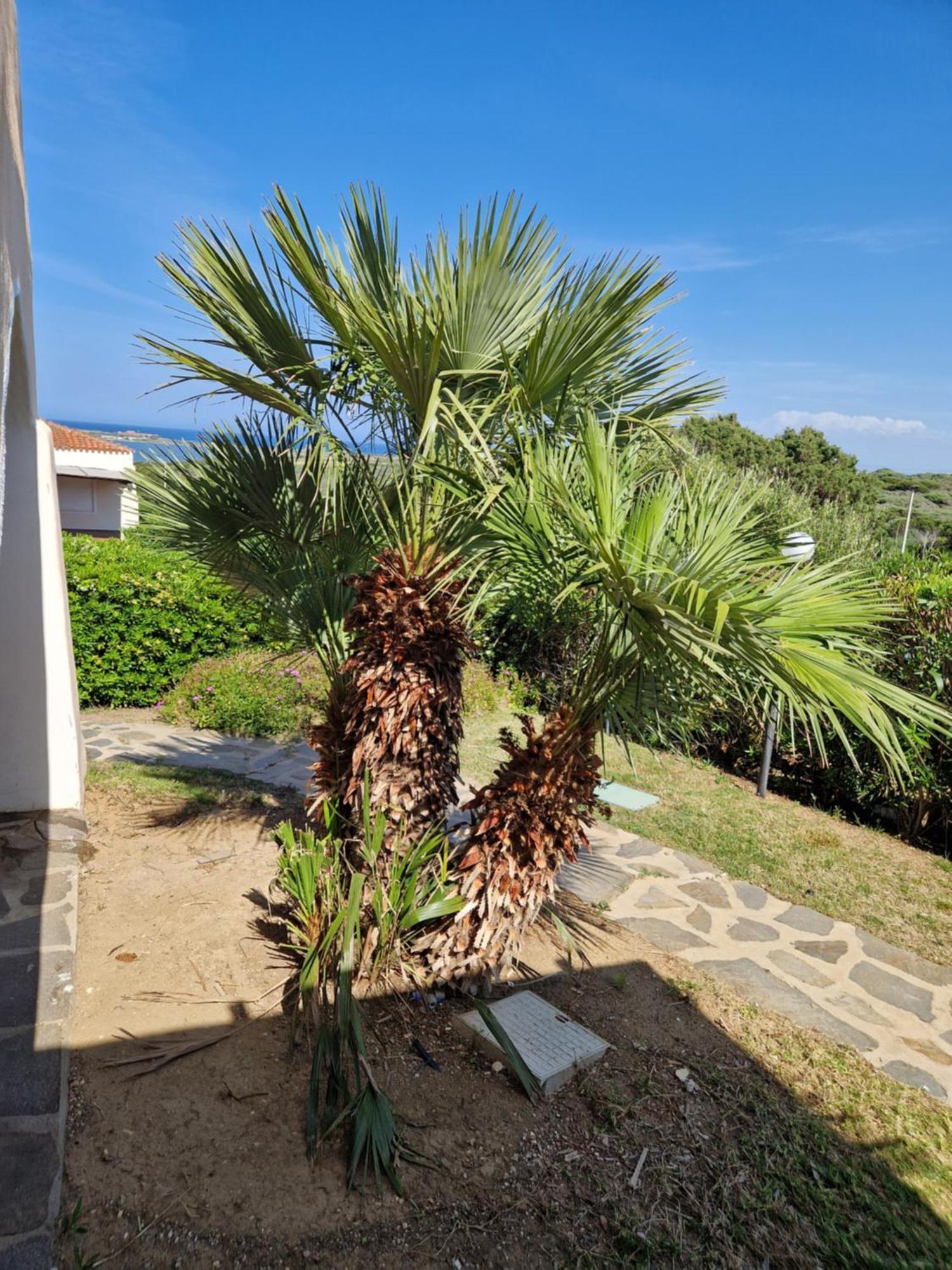 Villa Iris Stintino Dış mekan fotoğraf